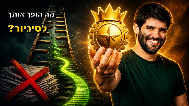 דן ליננברג - איך להתקדם להיות סיניור